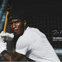 Victus Tim Anderson TA7 Birch Pro Reserve 9 Victus Tim Anderson TA7 Birch Pro Reserve -100percent Sales TA7 0
